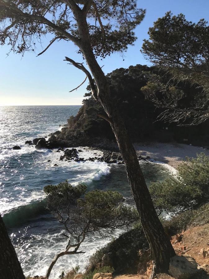 Villa Lucienne Bandol , T2 4 Etoiles Avec Garage, Dans Les Calanques Dış mekan fotoğraf