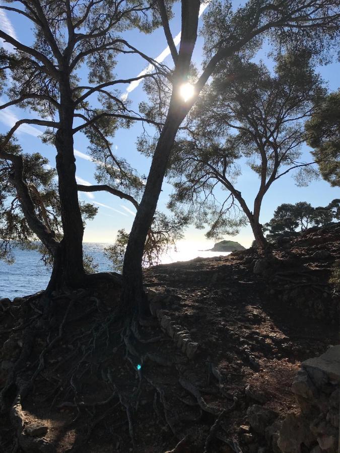 Villa Lucienne Bandol , T2 4 Etoiles Avec Garage, Dans Les Calanques Dış mekan fotoğraf